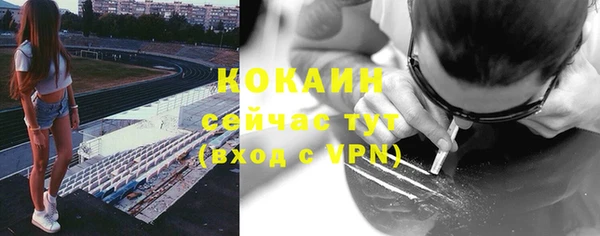 крисы Аркадак