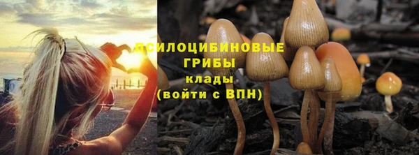 хмурый Арсеньев