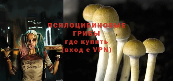 крисы Аркадак