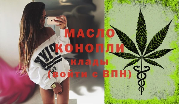 хмурый Арсеньев