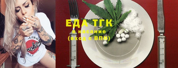 хмурый Арсеньев