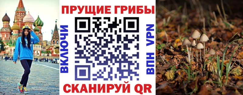 Псилоцибиновые грибы мухоморы  кракен ТОР  Отрадная 